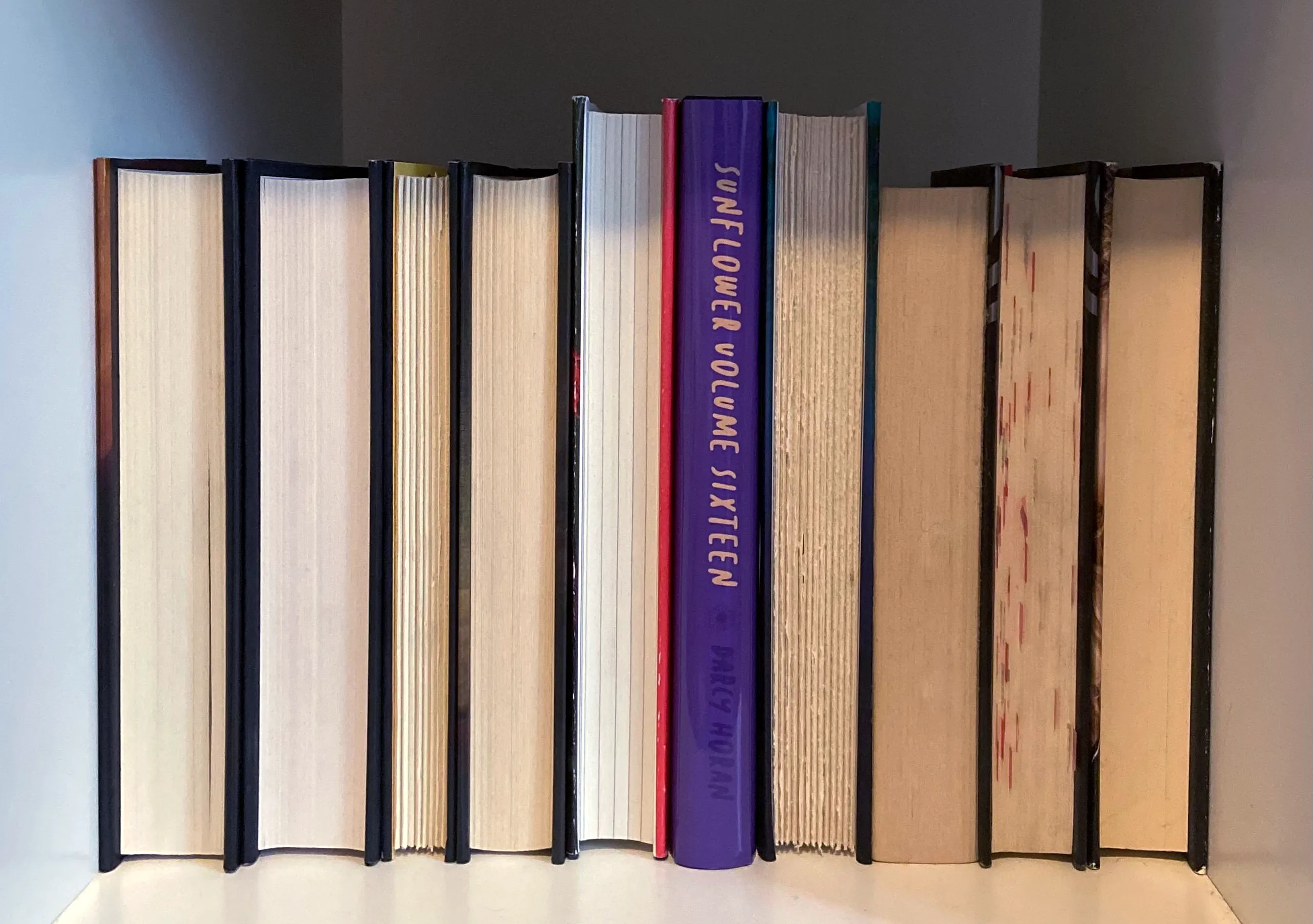A photograph of a bookshelf with several books turned the opposite way so the page edges are facing outward, except for the book I made, which has the spine facing outward.